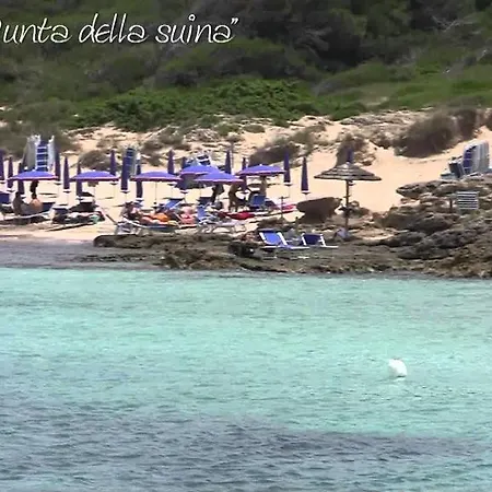 Apartment Lido Antonella Baia Di *